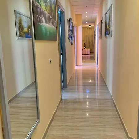 阿尔伯格希尼亚酒店 酒店